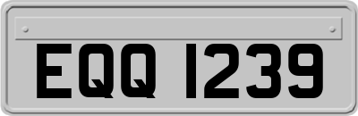 EQQ1239