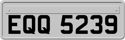 EQQ5239