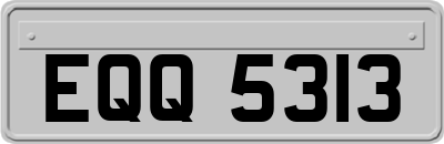EQQ5313