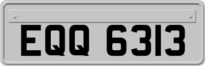EQQ6313