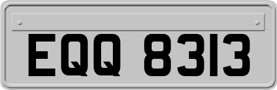 EQQ8313