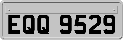 EQQ9529