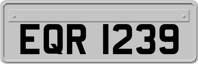 EQR1239