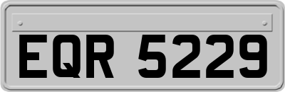 EQR5229