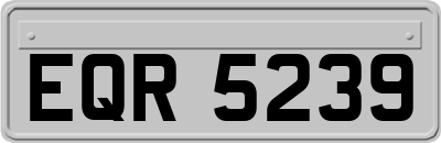 EQR5239