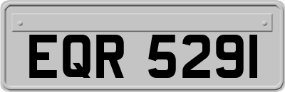 EQR5291