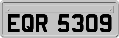 EQR5309