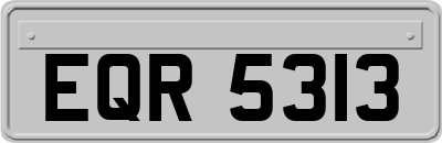 EQR5313