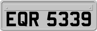EQR5339
