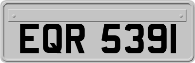 EQR5391