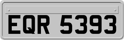 EQR5393