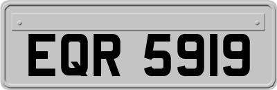 EQR5919