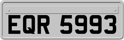 EQR5993
