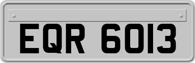 EQR6013