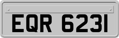EQR6231