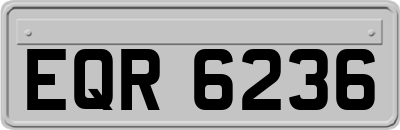 EQR6236