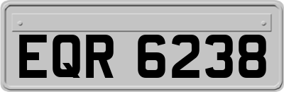 EQR6238