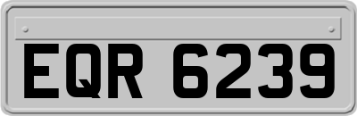 EQR6239