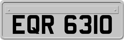 EQR6310