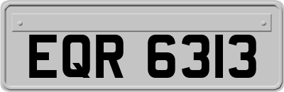 EQR6313