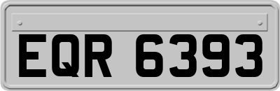 EQR6393