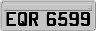 EQR6599