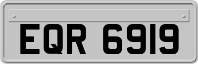 EQR6919