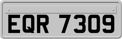 EQR7309