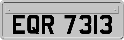 EQR7313