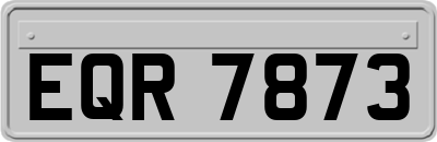 EQR7873