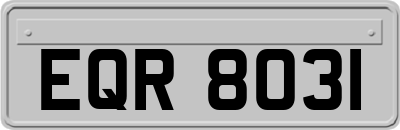 EQR8031