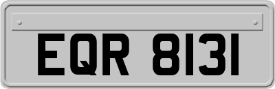 EQR8131