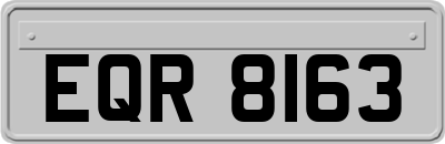 EQR8163