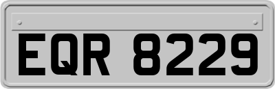 EQR8229