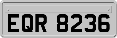 EQR8236