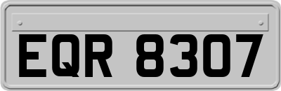 EQR8307