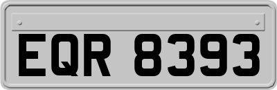 EQR8393