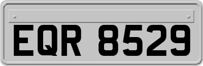 EQR8529