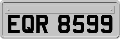 EQR8599