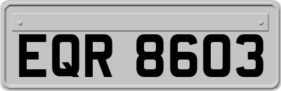 EQR8603