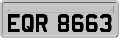 EQR8663