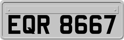 EQR8667