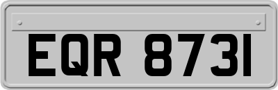 EQR8731