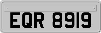 EQR8919