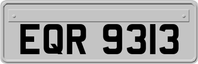EQR9313