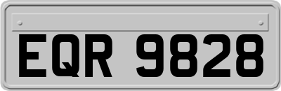 EQR9828