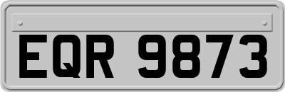 EQR9873