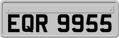 EQR9955