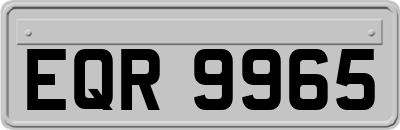 EQR9965