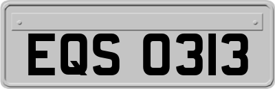 EQS0313
